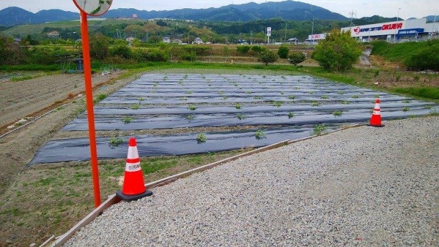 大阪府南河内郡河南町大字中土地の不動産情報です。