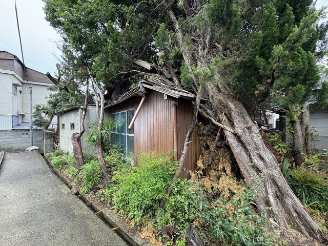 大阪府河内長野市楠町東土地の不動産情報です。