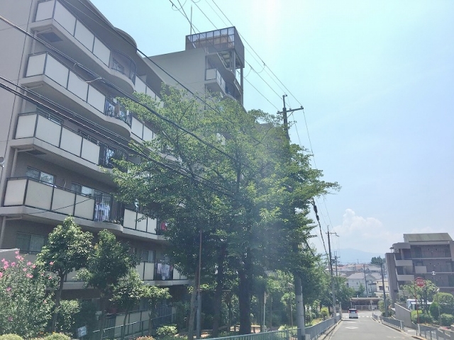 大阪府大阪狭山市西山台6丁目中古マンションの不動産情報です。