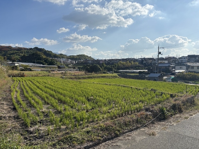 大阪府南河内郡太子町大字春日土地の不動産情報です。